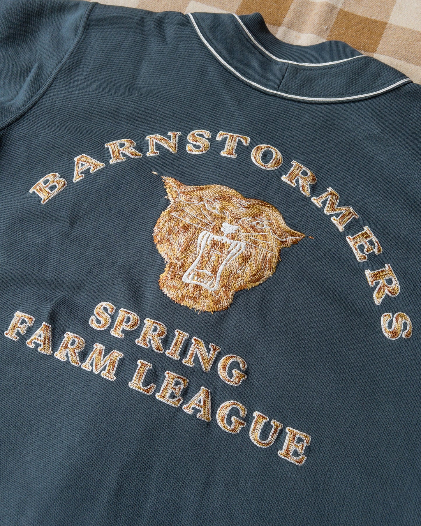 Barnstormers Baseball Jersey - Away