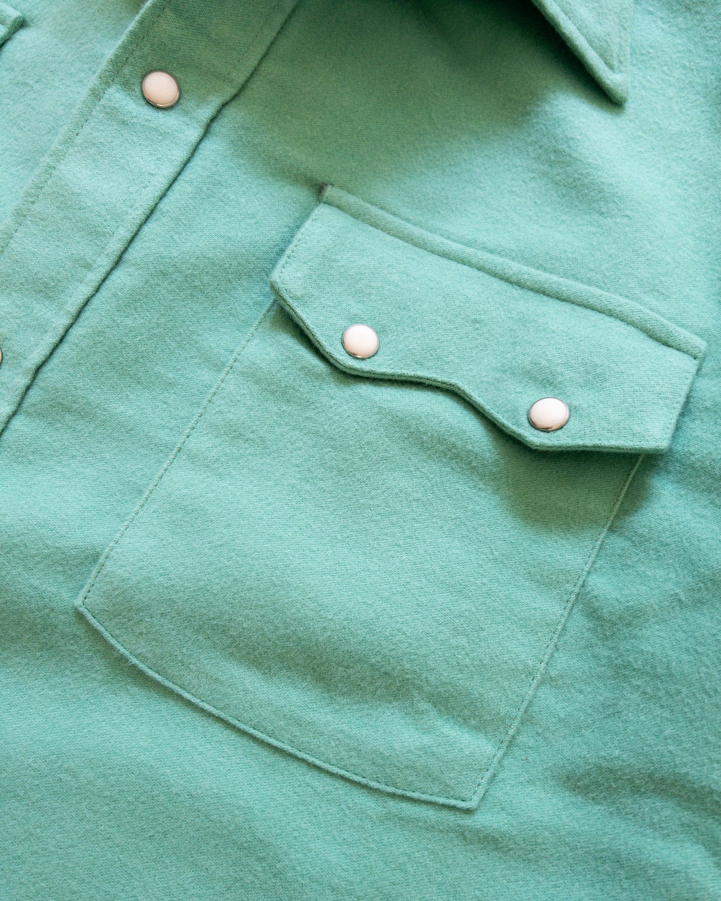 Moleskin Pearlsnap Shirt - Wintergreen